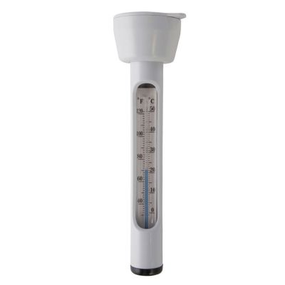 Intex Pool Thermometer