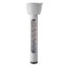 Intex Pool Thermometer