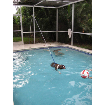 Swim Tether Kit (Large) - Image 40927
